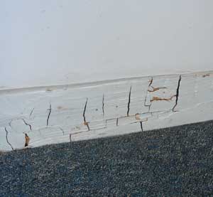 Dry Rot in in a skirting board 